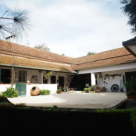 Casa Da Nanda - Aveiro Maias Village Nyaraló