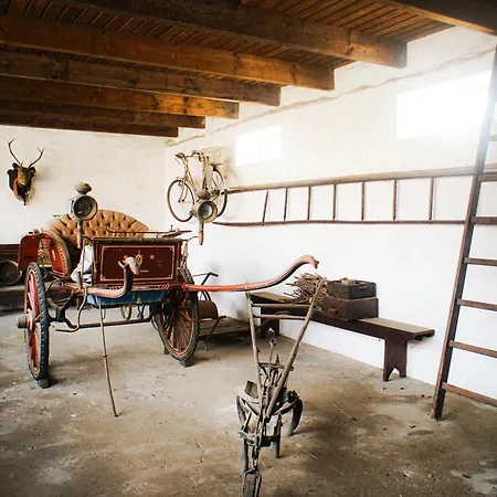 Nyaraló Casa Da Nanda - Aveiro Maias Village Oliveirinha